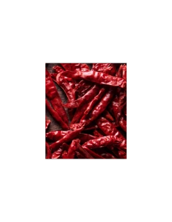 Table De Jardin Bistro D.77 Cm - Ronde Pliante Métal - Blanc Coton -Lafuma Soldes Boutique table de jardin bistro d77 cm ronde pliante metal 6